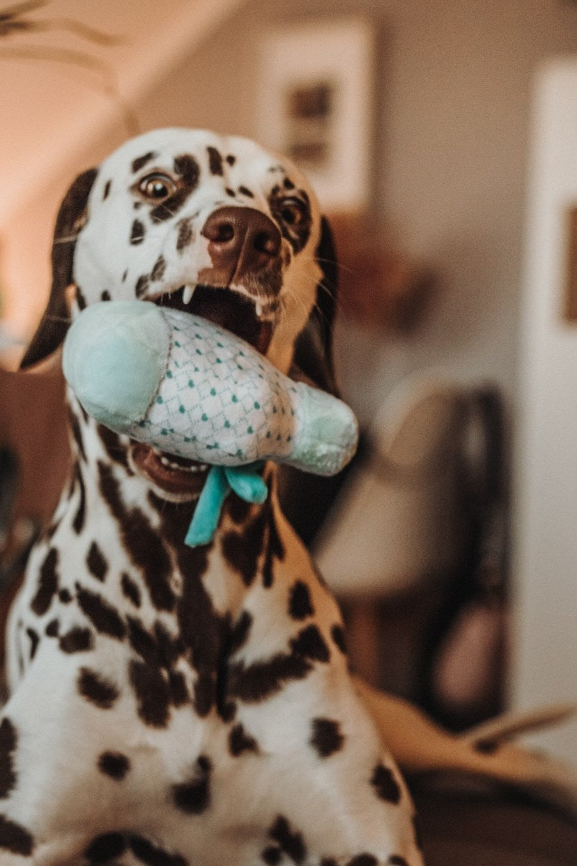 Sniffany & Love Pawfum